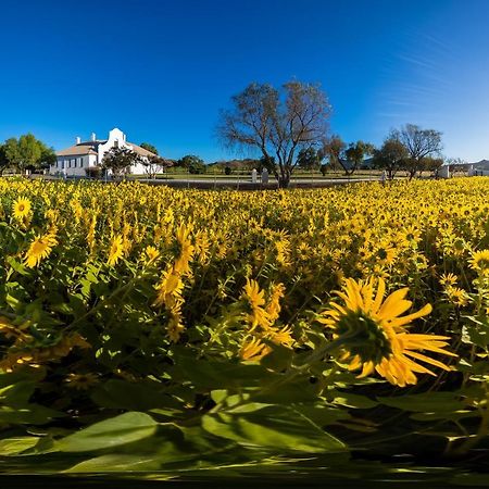 Bethulie Guest Farm Hotel Exterior foto