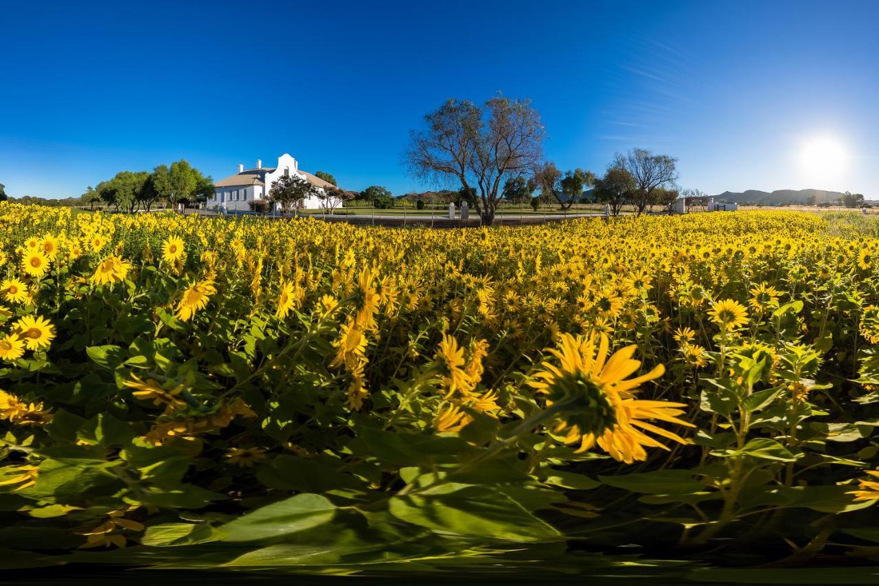 Bethulie Guest Farm Hotel Exterior foto
